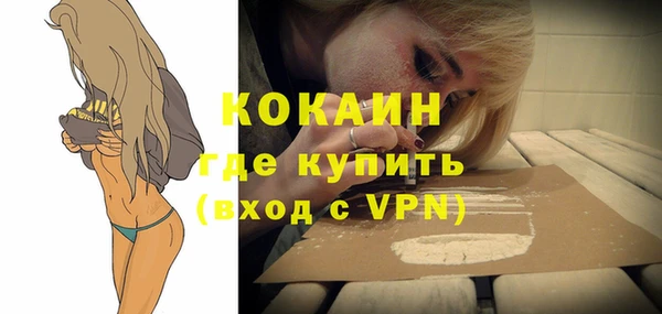 индика Арсеньев