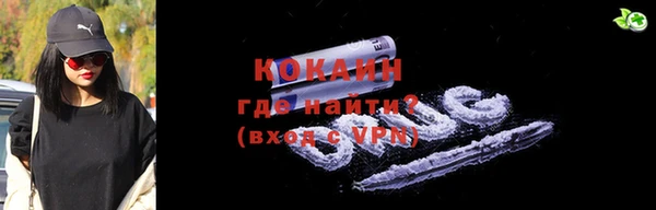 индика Арсеньев