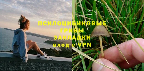 индика Арсеньев
