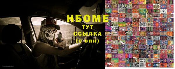 индика Арсеньев