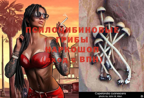 гидропоника Аркадак