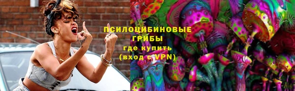 индика Арсеньев